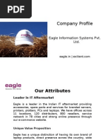 Company Profile: Eagle Information Systems Pvt. LTD