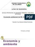 I. Economía y Ambiente Economia de RRNN