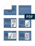 Periferni Nervni Sistem PDF