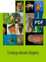 Evolucija Telesnih Sklopova PDF