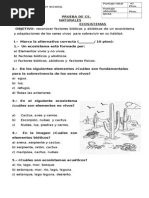 Prueba Ecosistemas