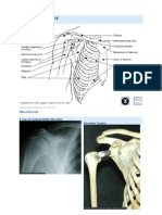 KT Shoulder Anatomy