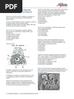 Biologia Citologia Organelas Citoplasmaticas Exercicios Gabaritos