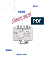 Project Chinese Puzzel