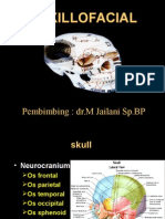 Maxillofacialtrauma Tampil