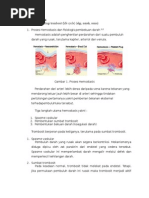 Download Pertanyaan Diskusi by Ayu Assa Chua SN273314355 doc pdf