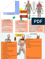 Peta Minda Otot