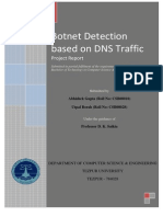 Botnet Detection Based On DNS Traffic: Project Report