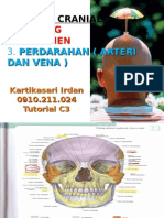 Anatomi Cranial: 1. Tulang 2. Foramen