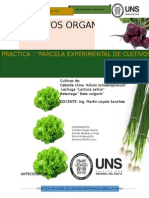 Info Cultivos Organicos