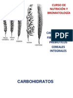 CHO Fibra Perbioticos Cereales 7