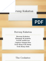 Burung Kakatua