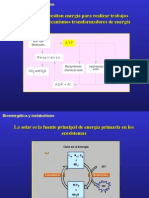 Metabolismo