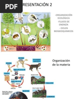 Presentacion Organizacion Ecologica y Flujos de Energia