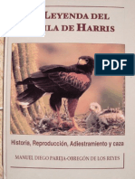 119064829 Cetreria La Leyenda Del Aguila de Harris