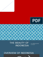 The Beauty of Indonesia