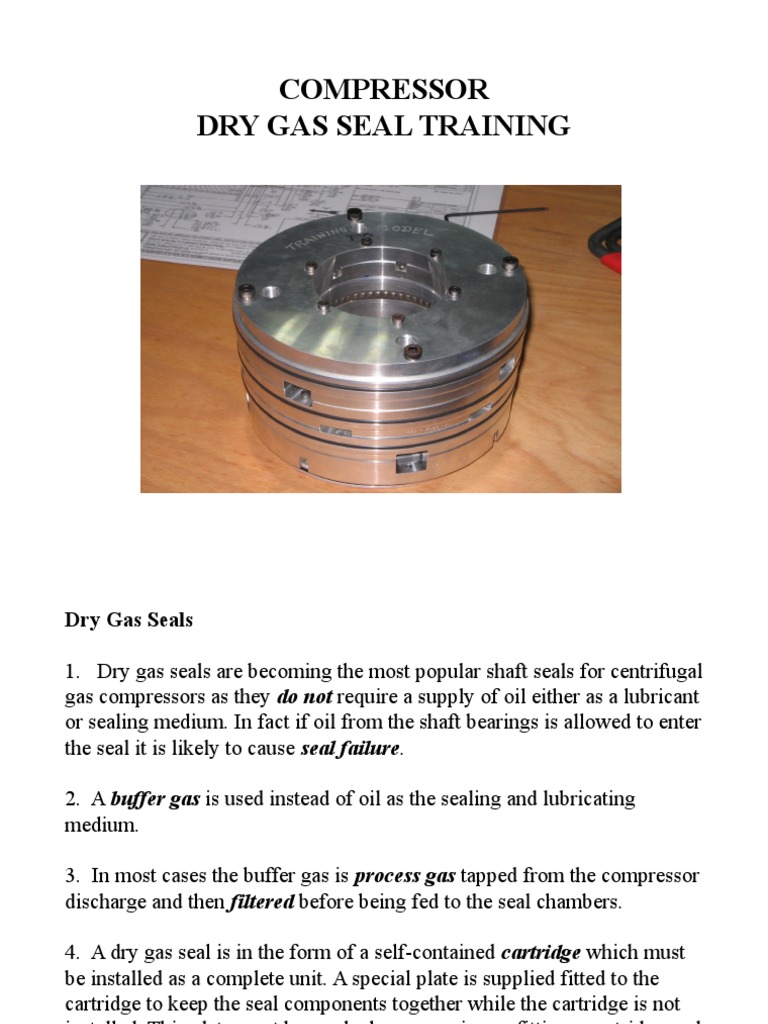 Dry Gas Seal PDF Gas Compressor Cartridge (Firearms)