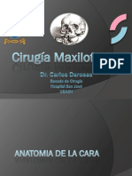 Cirug_maxilofacial