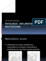 PATOLOGIE INFLAMATORIE MASTOIDIANA