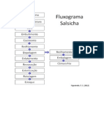 Fluxogramas_Produtos_Carneos.pdf