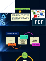 Presentacion Organizacion PDF