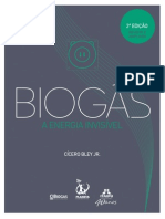 Biogas Energia Invisivel