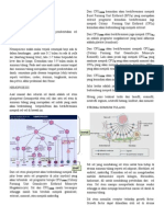 Tentir Hematopoiesis Half