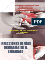 Infecciones de Vias Urinarias Mayra Yadira Vazquez Vazquez