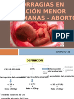 Exposicion - Aborto