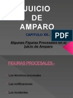 Cap Xii Amparo Figuras Procesales en El Juicio 140809