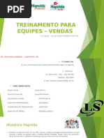 TREINAMENTO PARA EQUIPES – VENDAS Rannyere ladislau.pptx