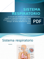 Sistema Respiratorio