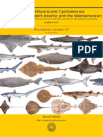 Chondrichthyans V07 PDF