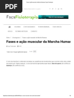 Fases e Ação Muscular Da Marcha Humana _ Faça Fisioterapia