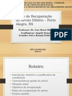 Plano de Recuperação Do Arroio Dilúvio - Porto Alegre, RS