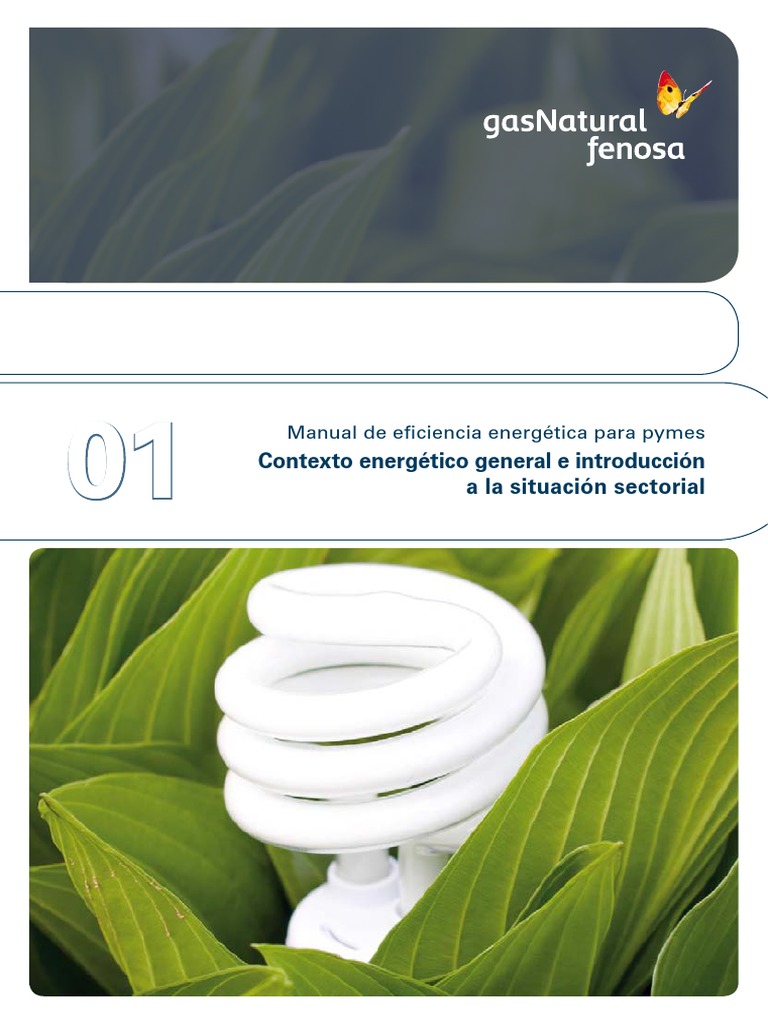 Manual de Eficiencia Energetica para Pymes | PDF | Lámpara compacta ...