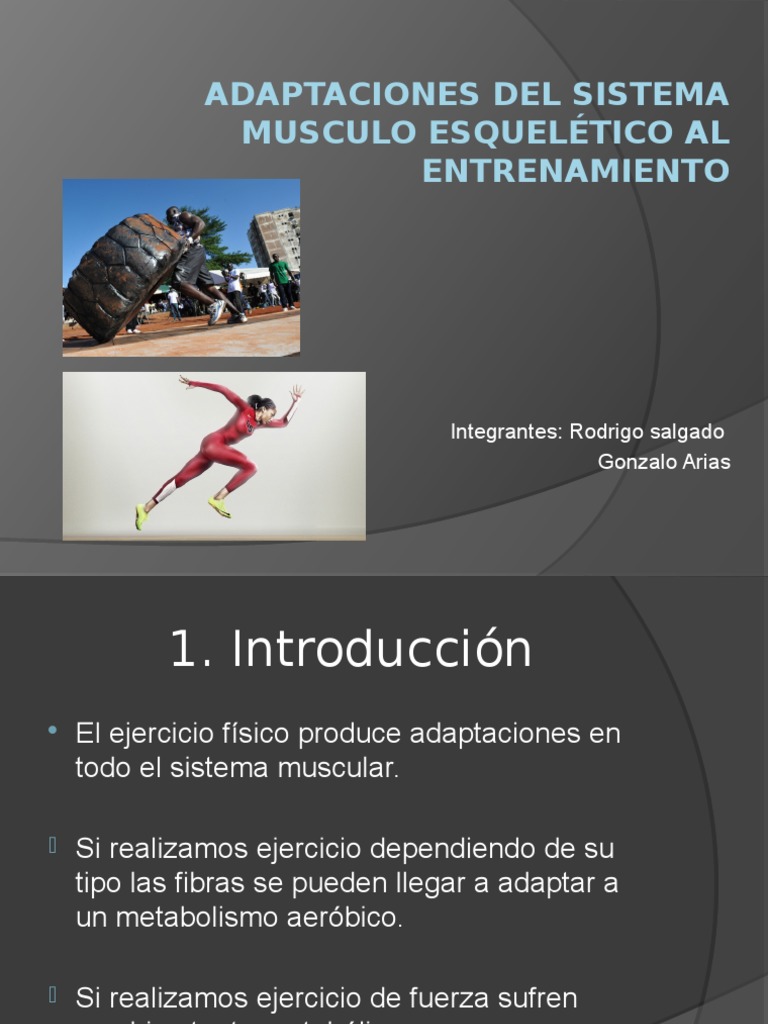 Adaptaciones Del Sistema Musculo Esquelético Al