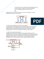 Decorticación y Descerebración