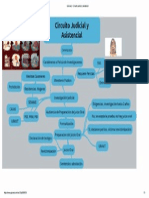 Circuito Judicial y Asistencial