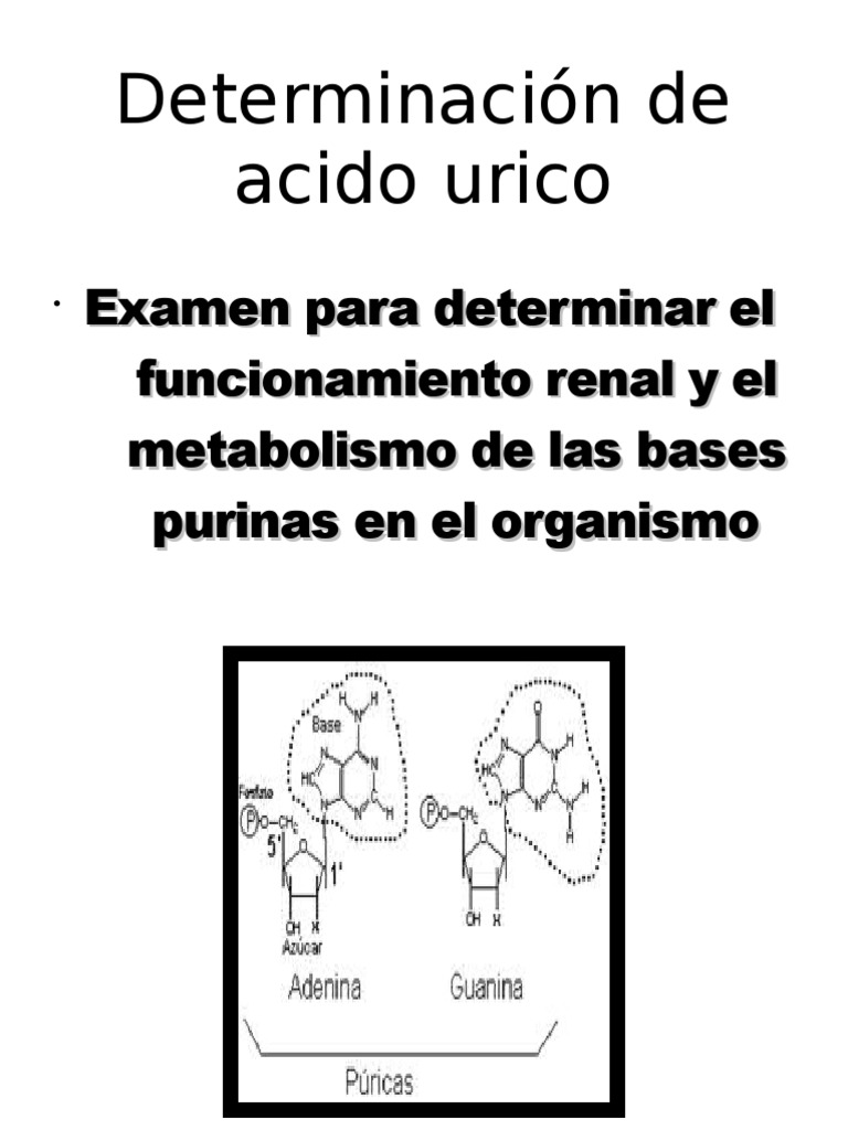 Determinación de acido urico