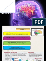 Cerebro e Voce