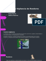 Control y Vigilancia de Roedores