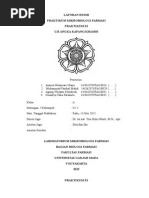 Download Laporan Resmi Praktikum Mikrobiologi Angka Kapang Khamir by FaishalMahdi SN273507274 doc pdf