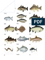 Fish Type