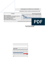 Cronograma de Actividades Modelo Supervision de Obras