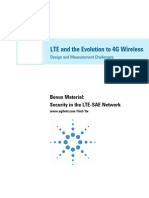 Security in the LTE-SAE Network