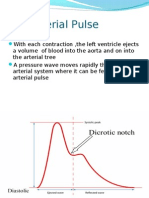 The Arterial Pulse