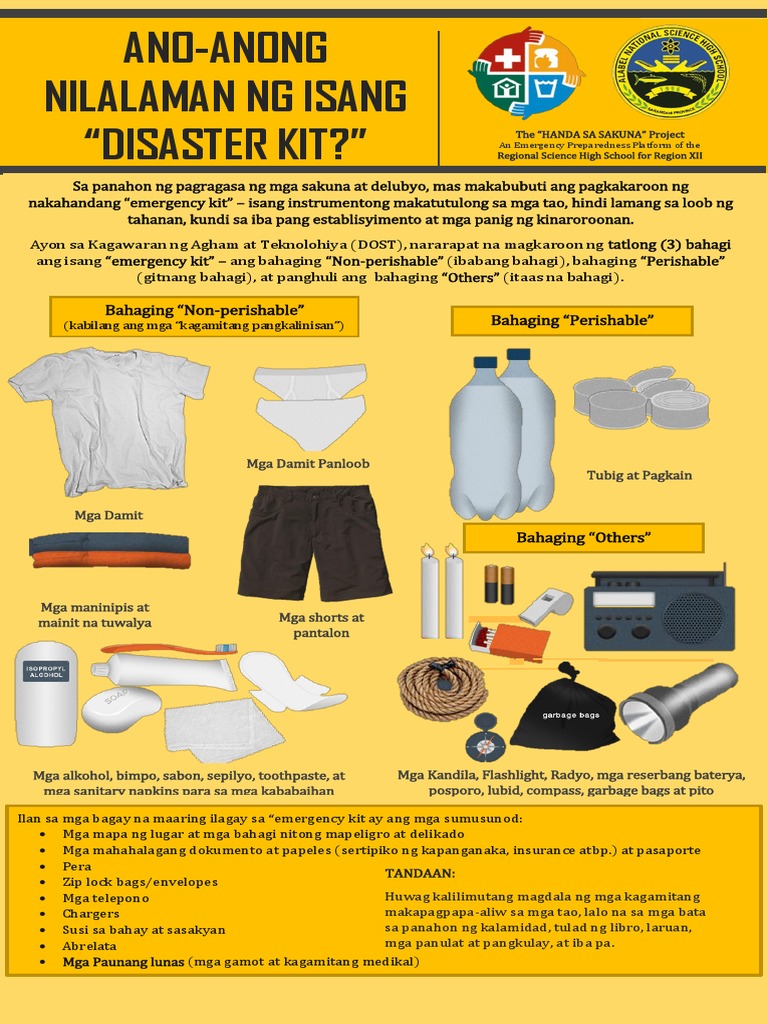 Disaster Kit PDF Disaster And Accident Disaster (General)