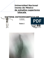 Columna Vertebral