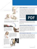 Sindrome Del Latigazo Cervical Información A Pacientes